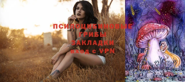 крисы Богданович