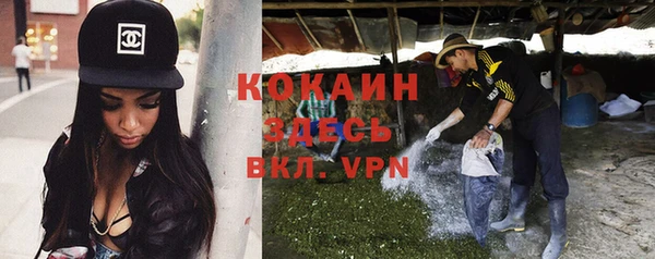 крисы Богданович