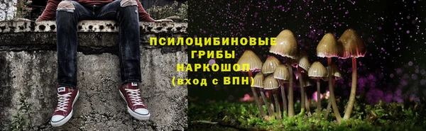 стафф Бронницы