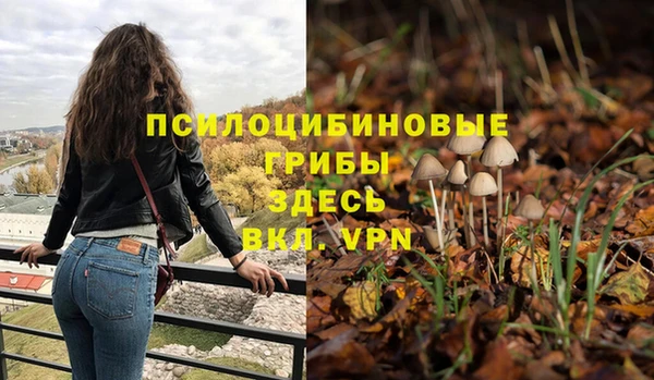 MDMA Бородино